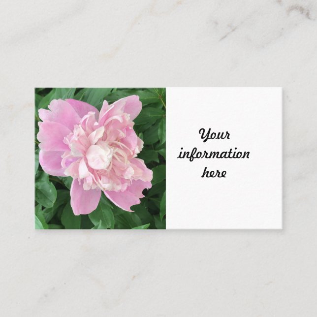 Peony Business Card (Front)