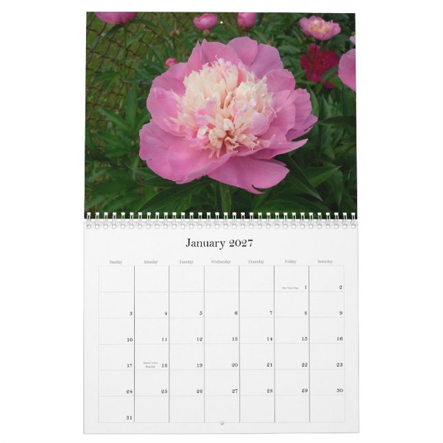 Peony Calendar Aug 2007 - July 2008 (Jan 2027)