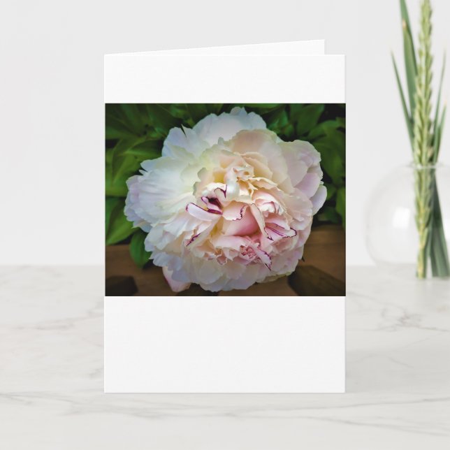 Peony, card (Front)