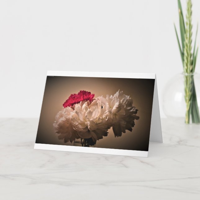 Peony, card (Front)