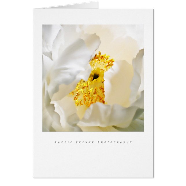 Peony Card (Front)