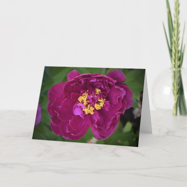 Peony, card (Front)