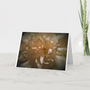 Peony, card