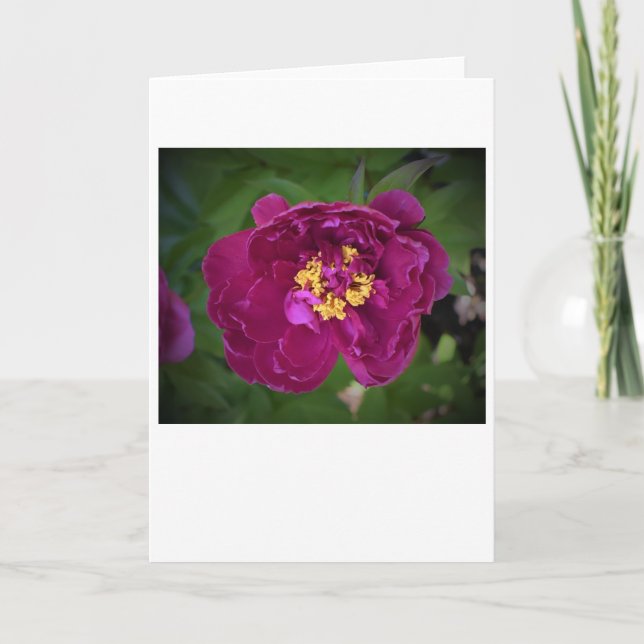 Peony, card (Front)