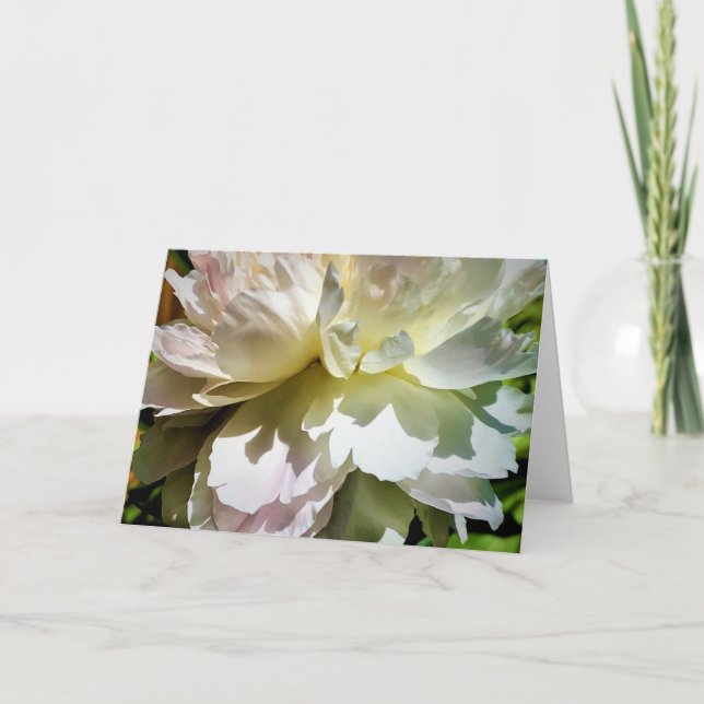 Peony, card (Front)