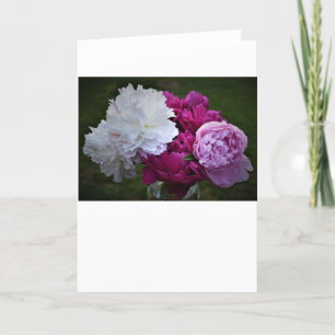 Peony, card
