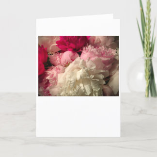 Peony, card