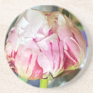 Peony coaster