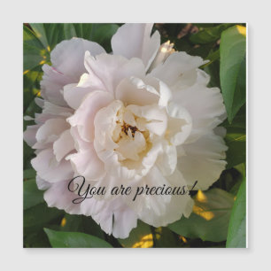 Peony flower