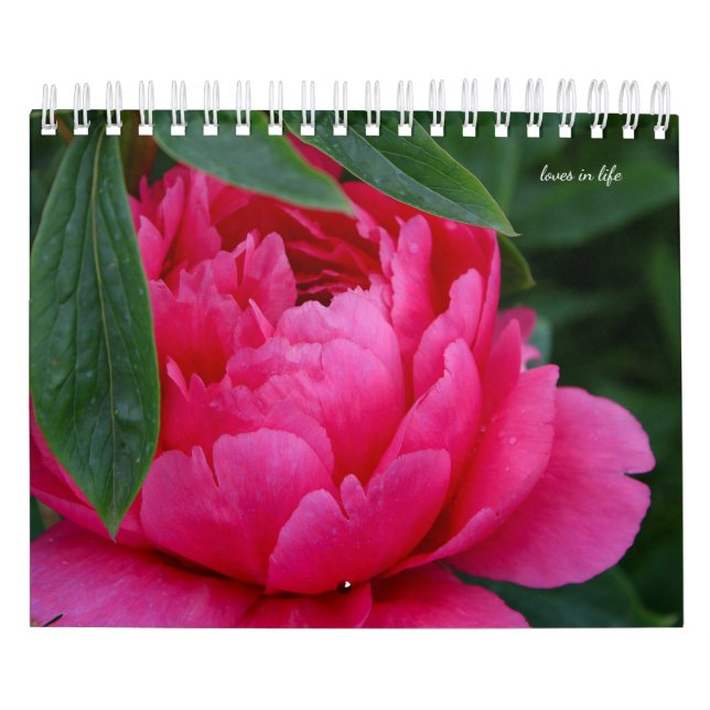 Peony Flower Calendar (Cover)