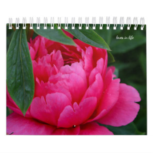 Peony Flower Calendar