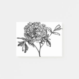 Peony Flower Line Art Floral Plant Decorative Post-it Notes