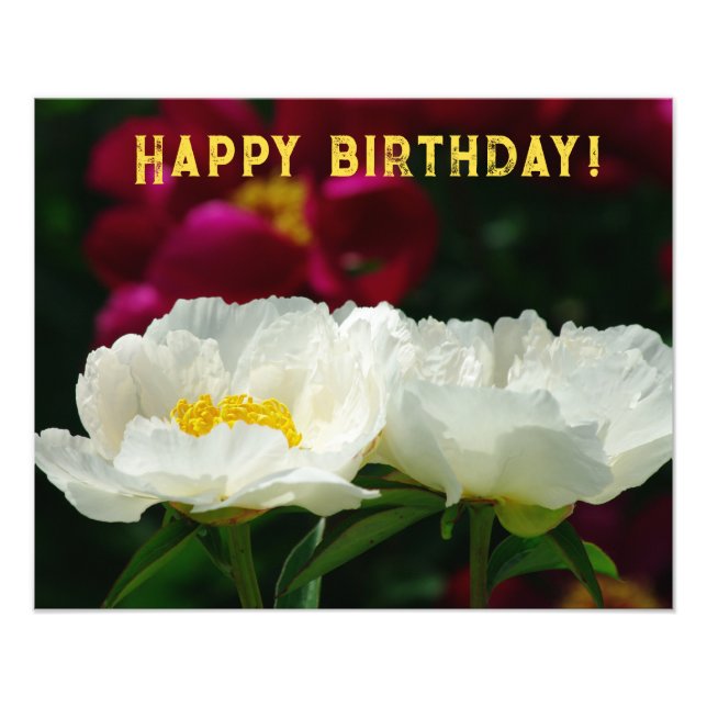 Peony/Flower Magic/White Flower/Happy Birthday/ Photo Print (Front)