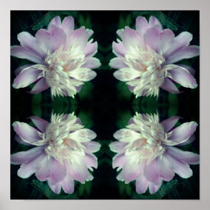 Peony Flower Nature Abstract Poster