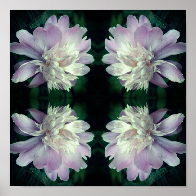 Peony Flower Nature Abstract  Poster (Front)