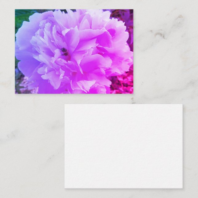 Peony Flower with a Honey Bee Enclosure Card (Front/Back)