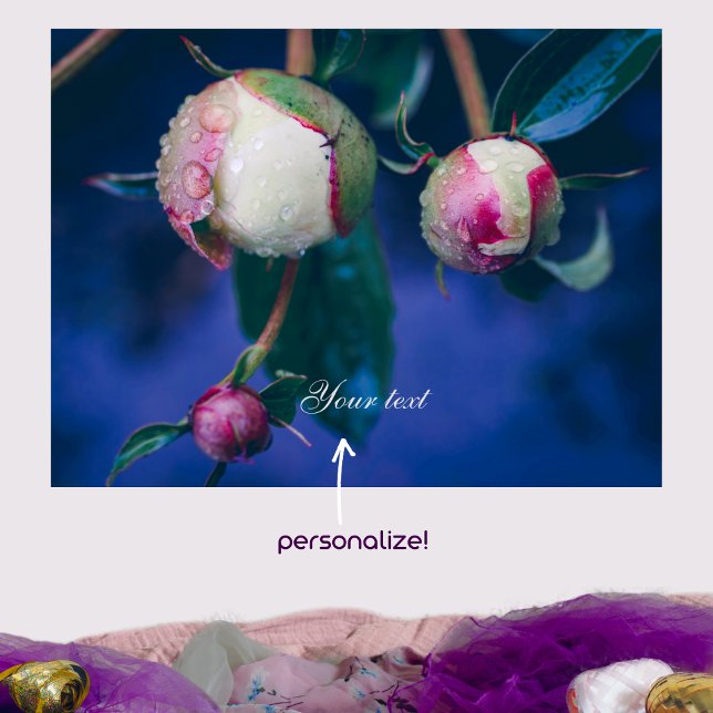 Peony flowers after rain customisable  poster (Creator Uploaded)
