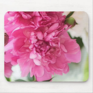 Peony Flowers Close-up Sketch Mouse Pad