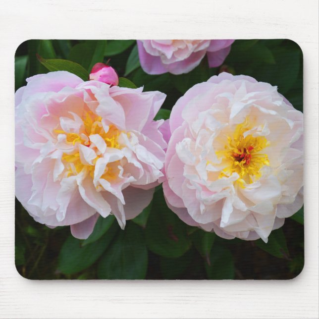 Peony flowers mouse pad (Front)