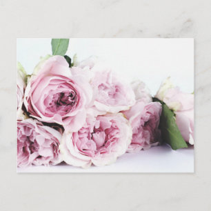 PEONY FLOWERS POSTCARD