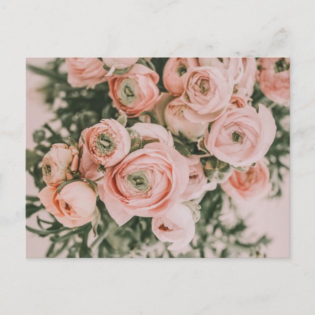 PEONY FLOWERS POSTCARD (Front)