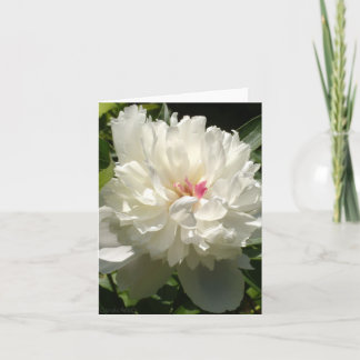 Peony Garden Card
