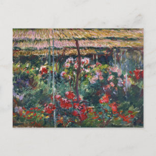 Peony Garden   Claude Monet Postcard
