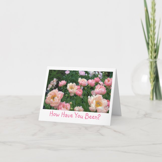 PEONY GARDEN, "HOW HAVE YOU BEEN?" (PHOTOG) CARD (Front)