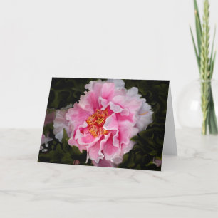Peony in Full Card