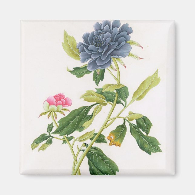 Peony Magnet (Front)