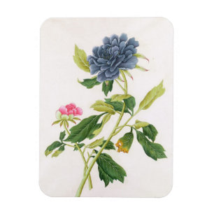 Peony Magnet