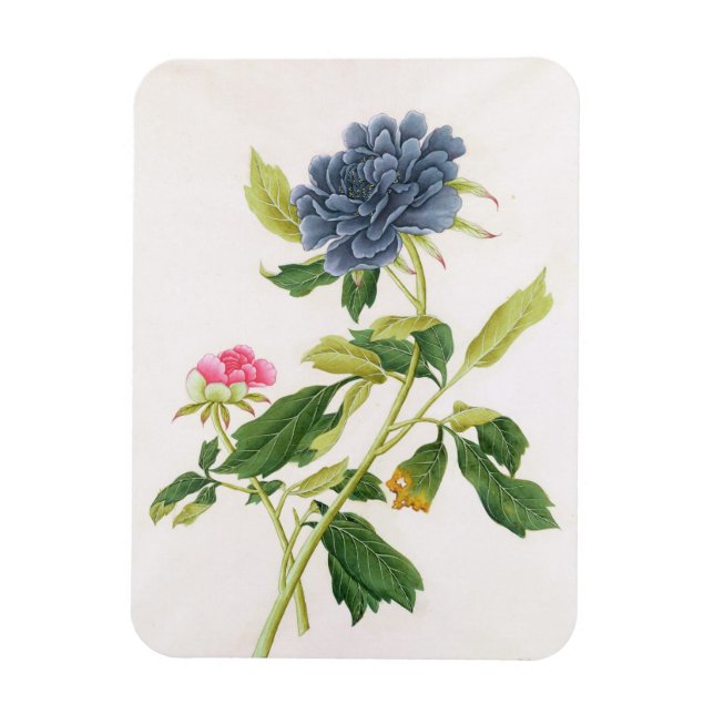 Peony Magnet (Vertical)