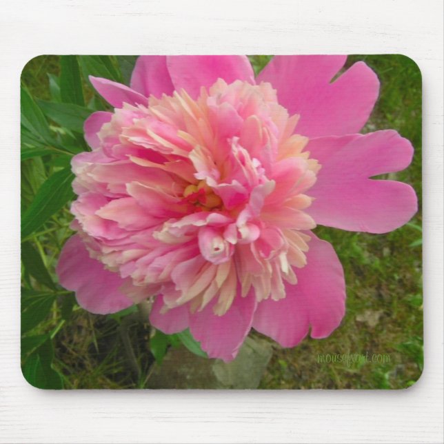 Peony Mousepad (Front)