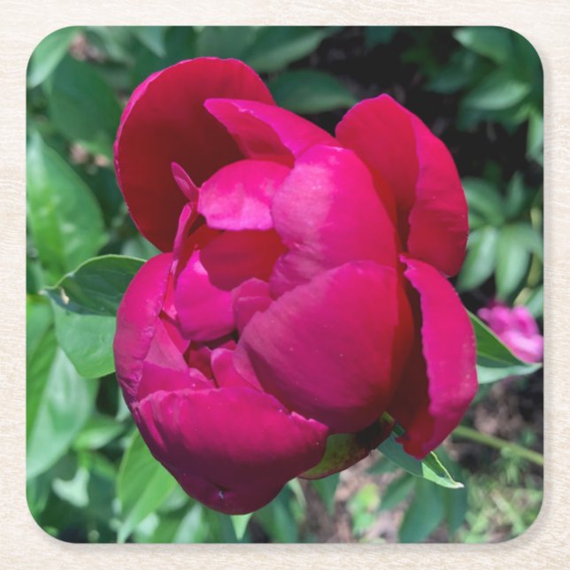 Peony Paper Drink Coaster (Front)