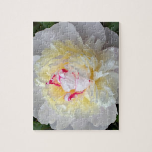 Peony Passion Jigsaw Puzzle