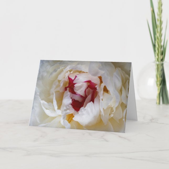 Peony petals card (Front)