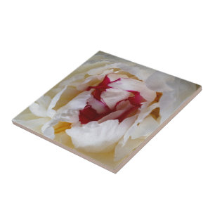 Peony petals ceramic tile