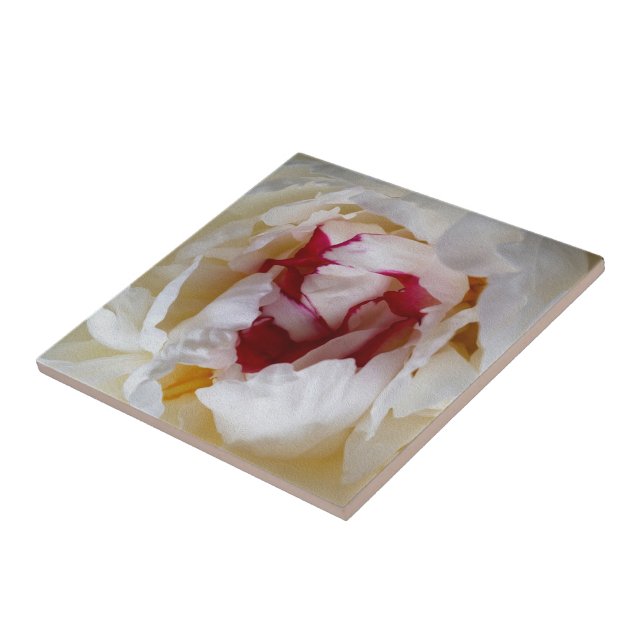 Peony petals ceramic tile (Side)