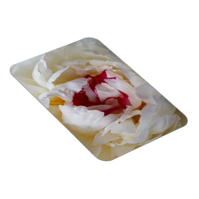 Peony petals magnet (Right Side)