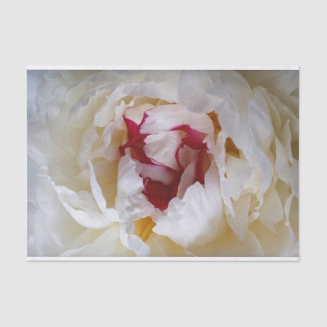 Peony petals tissue paper (Front)