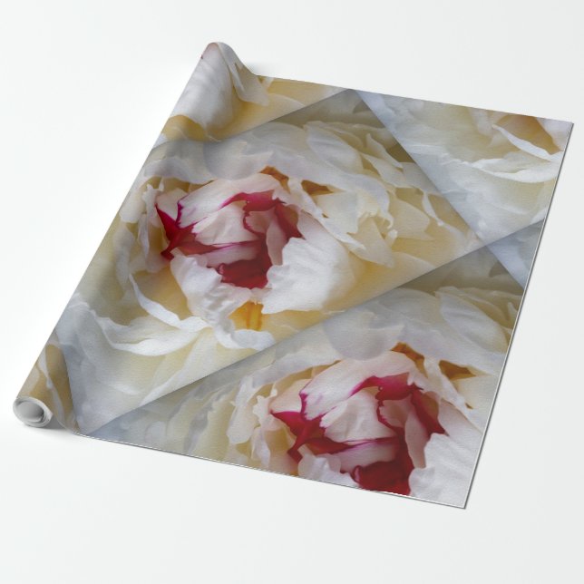 Peony petals wrapping paper (Unrolled)