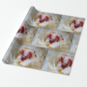 Peony petals wrapping paper