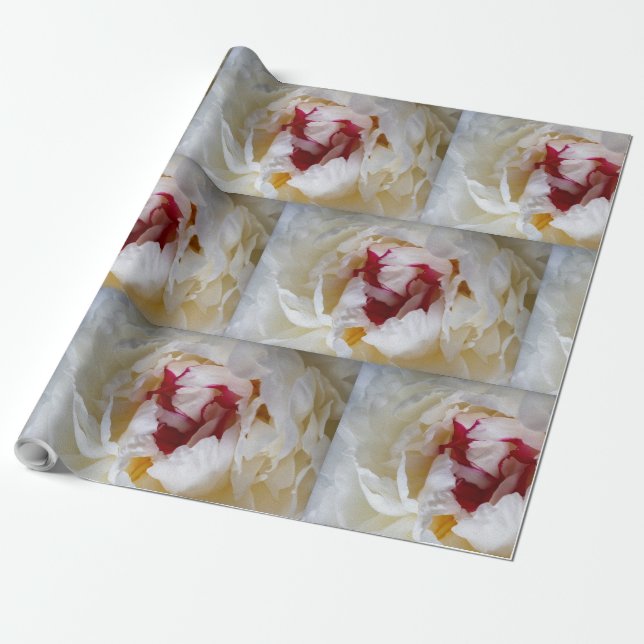Peony petals wrapping paper (Unrolled)
