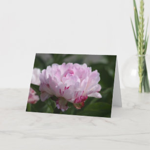 Peony "Petit Elegance" Card