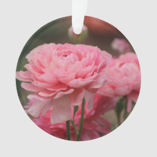 Peony Pink Ranunculus Closeup Ornament
