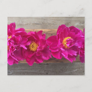 peony postcard