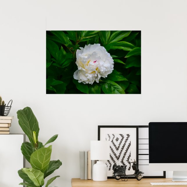 Peony, Poster (Home Office)