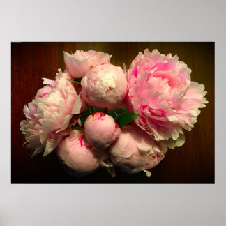 Peony, Poster