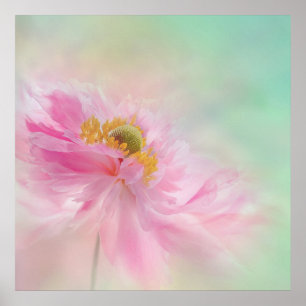 Peony Poster