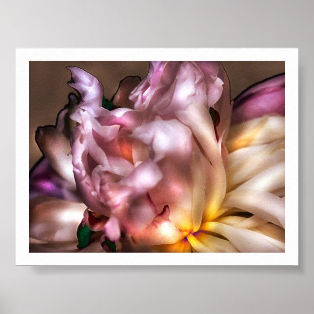 Peony Poster (Front)